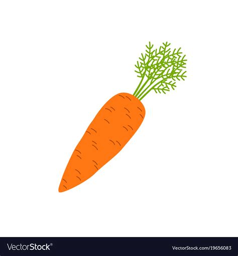 Carrot Royalty Free Vector Image Vectorstock