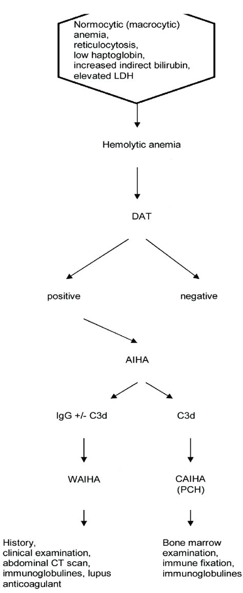 Flow Chart Of Diagnosis Of Autoimmune Hemolytic Anemia Download