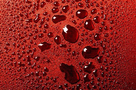 Close Up Closeup Drops Droplets Environment Liquid Red Refreshed Surface Texture Pxfuel