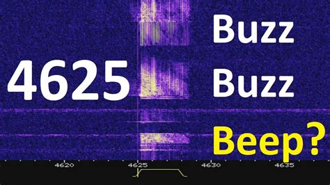 4625 Khz Uvb 76 The Buzzer Has More Issues Youtube