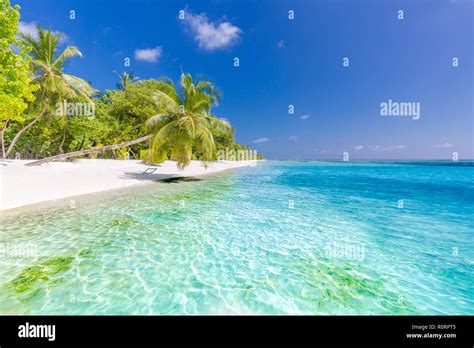 Tranquil Scenery Relaxing Beach Tropical Landscape Design Summer