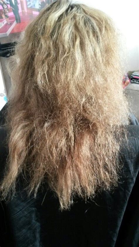 This Is The Before Picture On My Client With Dry Brittle Hair We Then