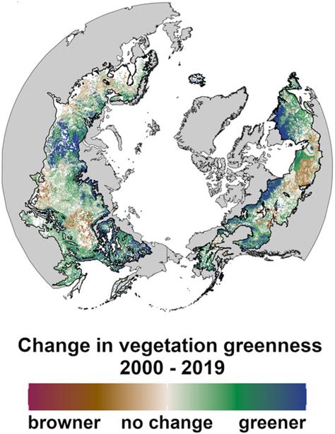 Satellite Observations Document Trends Consistent With A Boreal Forest