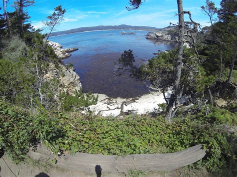 Mercredi 13 Mai Point Lobos Big Sur La Côte Jess And Co