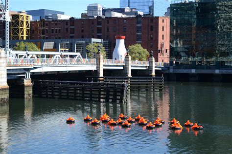 Project Sos Safety Orange Swimmers Codaworx
