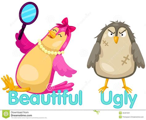 Cute Birds With Opposite Words Stock Vector Illustration Of Graphic