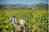 Photos of Marlborough Wine Tours By Bike