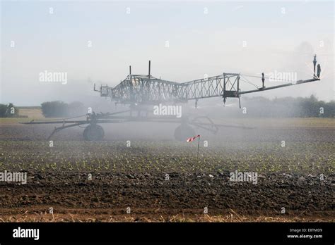 Briggs Self Propelled Irrigation System Watering Lettuces Stock Photo