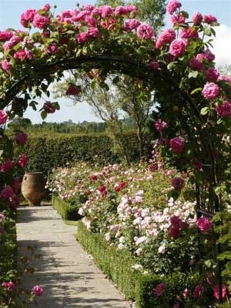 Rose Garden Designs For Small Borders Pdf