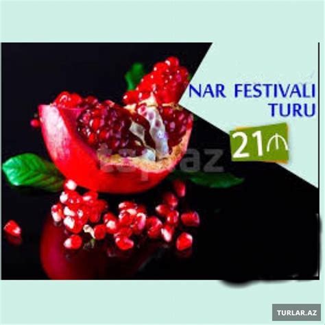 G Y Ay Nar Festival Turu Istirahet Turlari Turlar Az