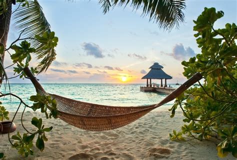 Wallpaper Tropics Paradise Beach Palm Sea Ocean Sunshine Summer