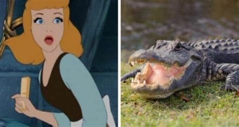 Disney Princess Fan Trades Cinderella Job For Alligators
