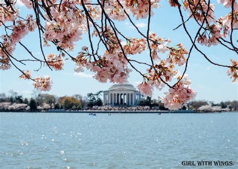 Must Visit Attractions In Washington Dc Tripoto