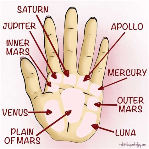 palm reading chart in 2020 | Palm reading, Palm reading charts, Reading for beginners