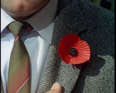 Why We Wear Poppies Poppies How To Wear Key Symbol
