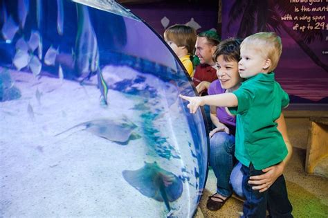 Sea Life Kansas City Aquarium