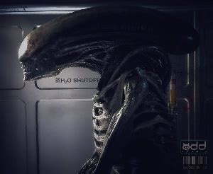 That is a full month after its international rollout begins this week and nearly a month after its may 19 outing in north america. Never before seen Alien: Covenant set photos shared for ...