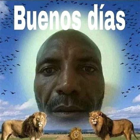 25 Best Memes Buenos Memes Platanos Memes Que Es Un Memes Memes Buenos