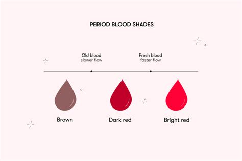 Why Is My Period Blood Brown Dark Shades Of Blood During Menstruation