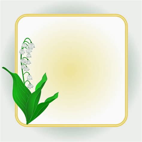 Lily Of The Valley Spring Flower Background Frame Vector Eps Ai