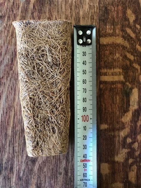 Coir Forestry Tube Pack Of Sabrina Hahn Hort With Heart