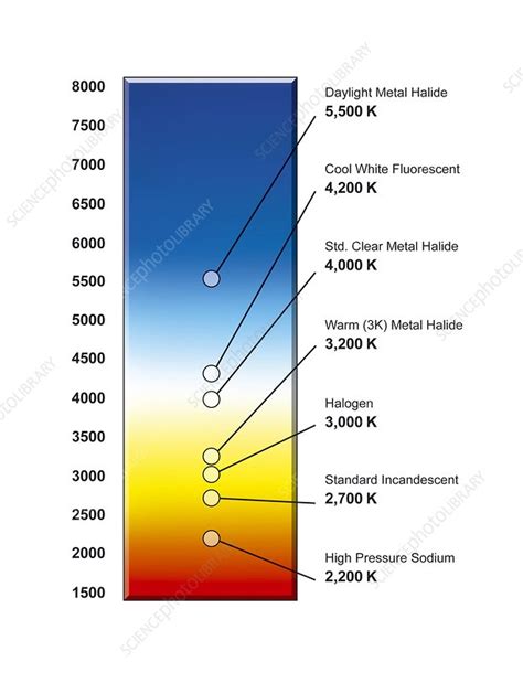 Light Bulb Colour Temperature Spectrum Stock Image C0116360