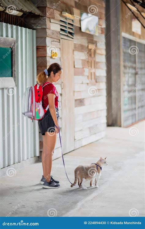 Woman And Her Cat Stock Photo Image Of Fashion Leash 224894430
