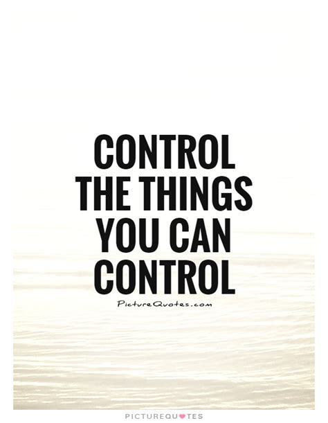 Control The Things You Can Control Picture Quotes