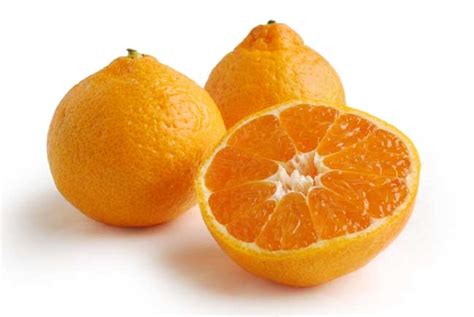 Satsuma Tangerines