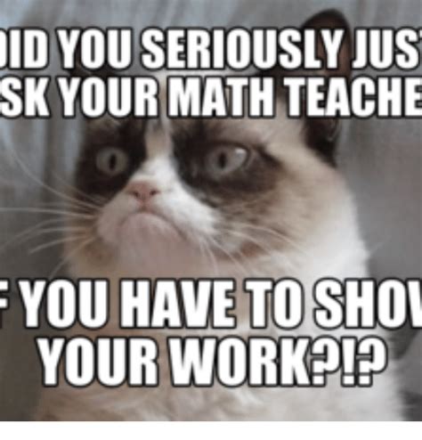 25 Best Memes About Grumpy Cat Math Grumpy Cat Math Memes