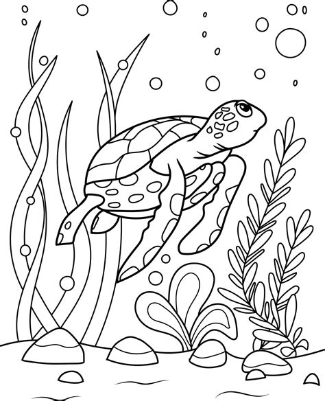 Coloring Pages Turtle Home Design Ideas