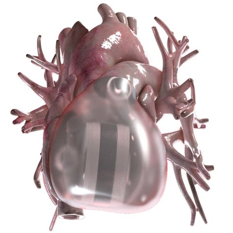 Artificial Human Heart Beating Obj