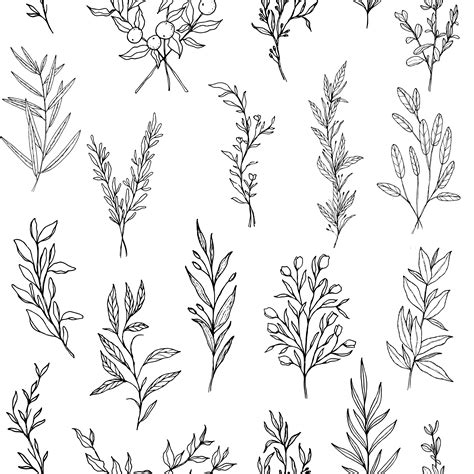 Herbs Of The Field Repeating Simple Botanical Pattern In 2021 Flower
