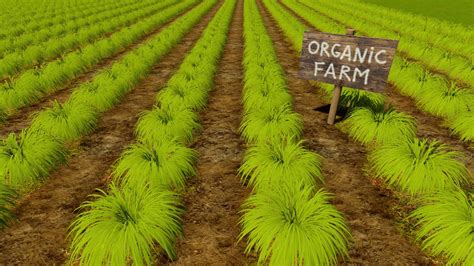 Organic Farming In India The System Of Organic Farming Is Not A By