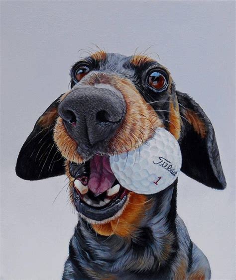 Realistic Funny Dog Portraits Dog Portraits Dog Paintings Canine Art