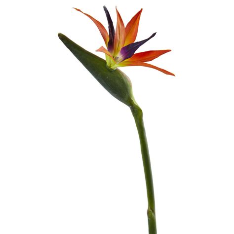 35 Bird Of Paradise Artificial Flower Set Of 4 Nearly Natural