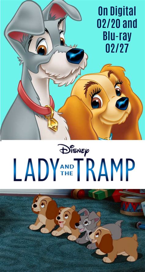 Fall In Love Again With Disneys Lady And The Tramp On
