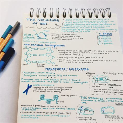 18 Gorgeous Study Notes That Should Be Framed As Art Study Notes