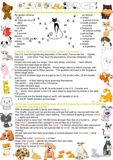 Cats And Dogs English Esl Worksheets Pdf And Doc