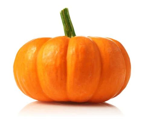 Vegetables Pumpkin