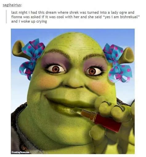Its All Ogre Now Shrek Know Your Meme