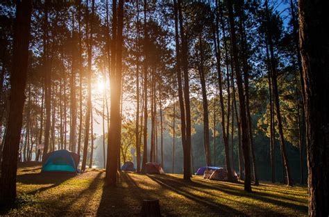 How To Make Camping Comfortable With 7 Easy Tips Afar