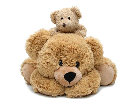 Pngtree offers hd teddy bear background images for free download. HD Wallpapers: Teddy Bear Pictures