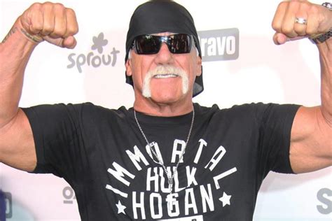 Hulk Hogans Sex Tape Schadenersatz Steigt Auf 140 Millionen Freenet De