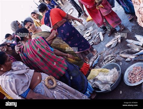 Fish Market Diu Gujarat Hi Res Stock Photography And Images Alamy
