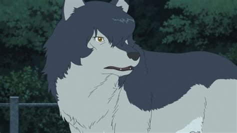 The Wolf Children Ame And Yuki Screenshots Wolf Children Ame Wolf