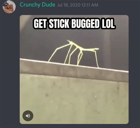 Screenshot 1 Get Stick Bugged Lol Know Your Meme