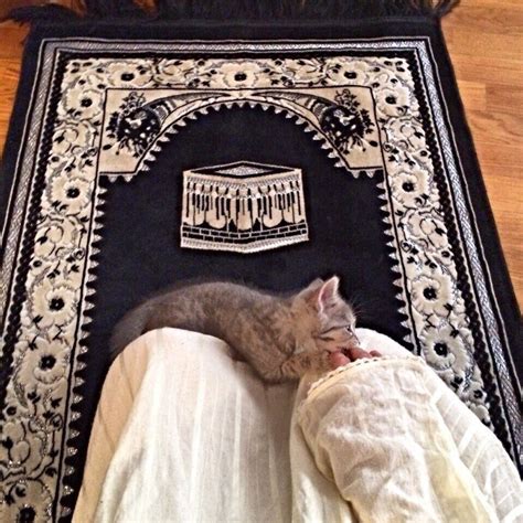 Allahaljalil Islamic Quotes And Reminders Seni Kucing Seni Islamis