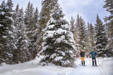 Winter Activities In The Black Hills Black Hills Visitor