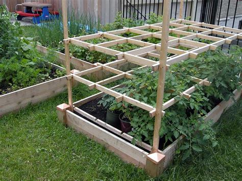 53 Tomato Trellis Designs Completely Free Epic Gardening